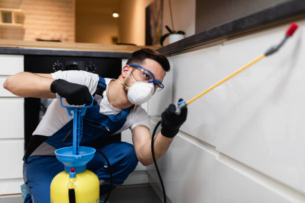 Best Insect Control  in Litchfield, MN