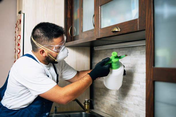 Best Best Pest Control Companies  in Litchfield, MN