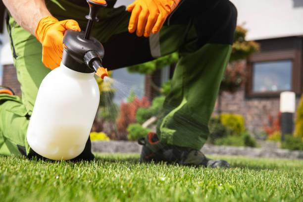 Best Pest Inspection Near Me  in Litchfield, MN