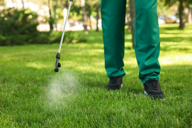 Best Termite Control Services  in Litchfield, MN