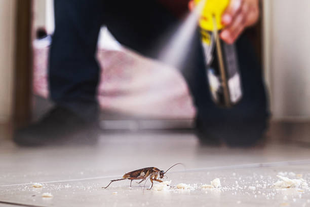 Best Pest Control Near Me  in Litchfield, MN