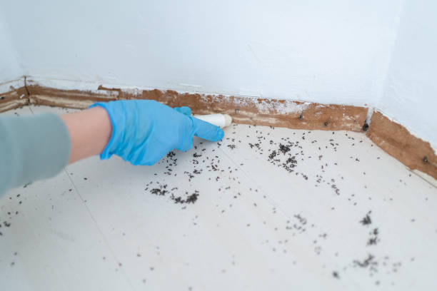 Wildlife Control Services in Litchfield, MN